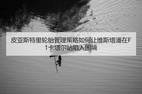 pi-ya-si-te-li-lun-tai-guan-li-ce-lve-ru-he-rang-wei-si-ta-pan-zai-ka-ta-er-zhan-xian-ru-kun-jing-2-592.jpg